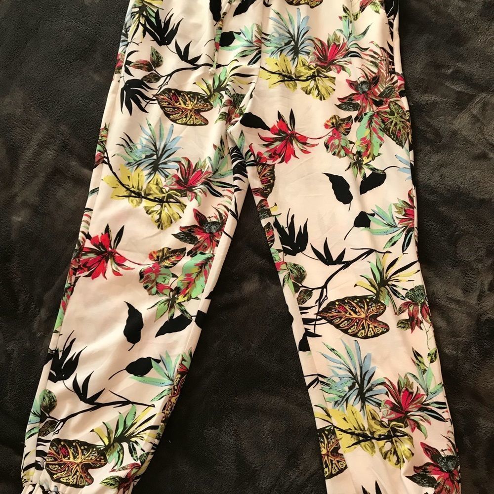 Great, transitional jogger